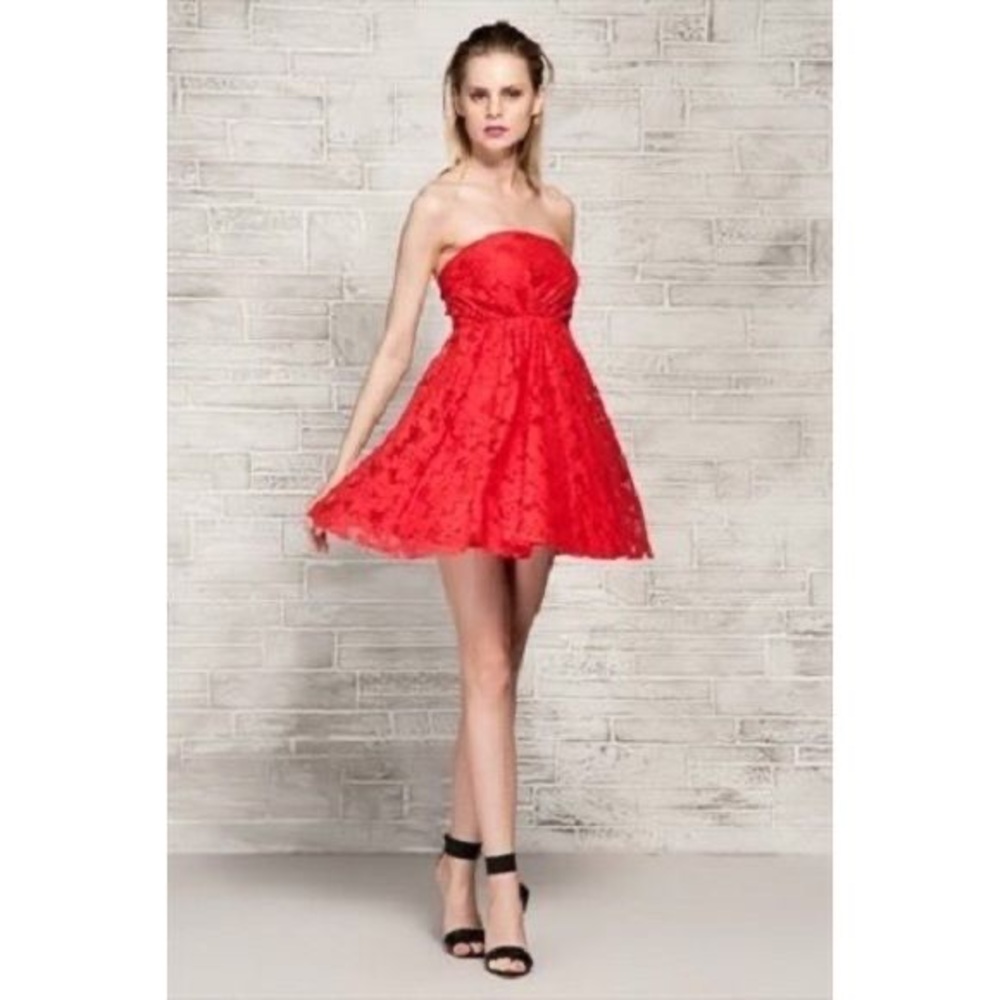 Strapless Red Lace Dress